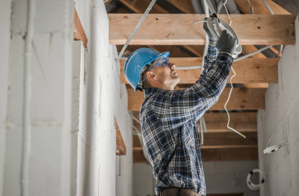 Best Electrical System Inspection  in Lexington, IL